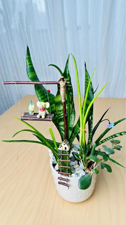 Handmade Fairy Garden Succulent Arrangement
