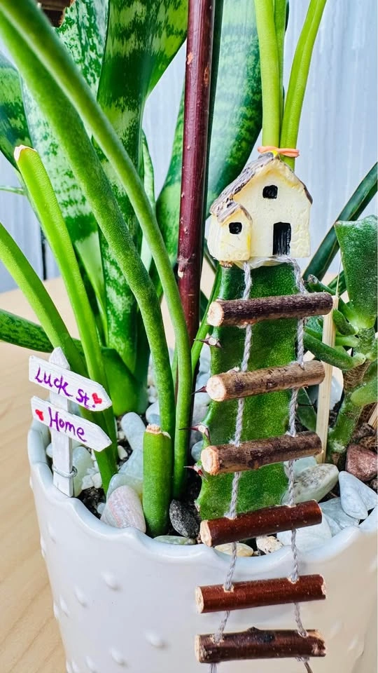 Handmade Fairy Garden Succulent Arrangement - photo 3