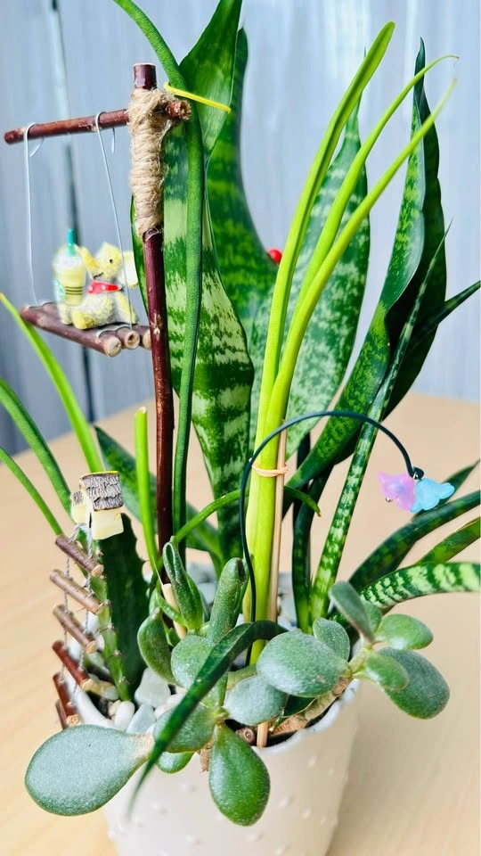 Handmade Fairy Garden Succulent Arrangement - photo 4