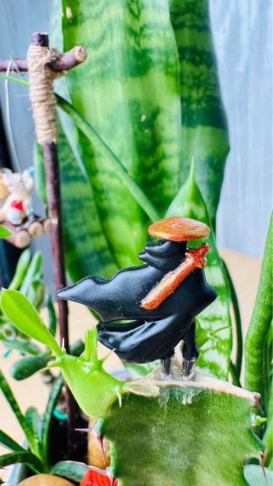 Cute Super low maintenance plant arrangement - photo 3