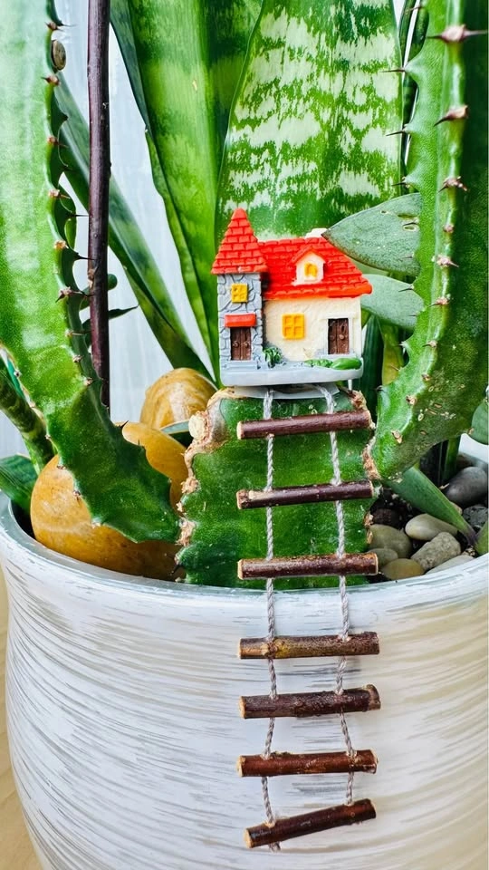 Cute Super low maintenance plant arrangement - photo 4