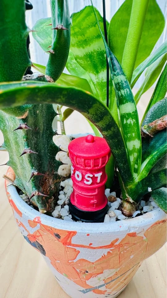 Super cute low maintenance plants in Hand-Painted Pot - photo 4