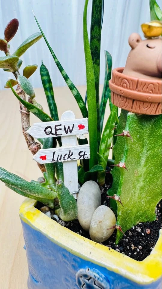 Super cute low maintenance plant arrangement - photo 3
