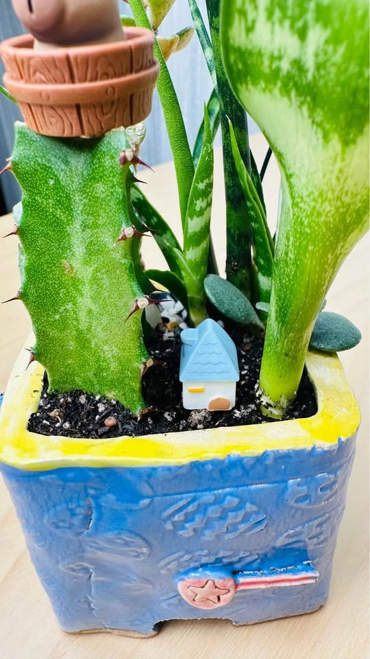 Super cute low maintenance plant arrangement - photo 4