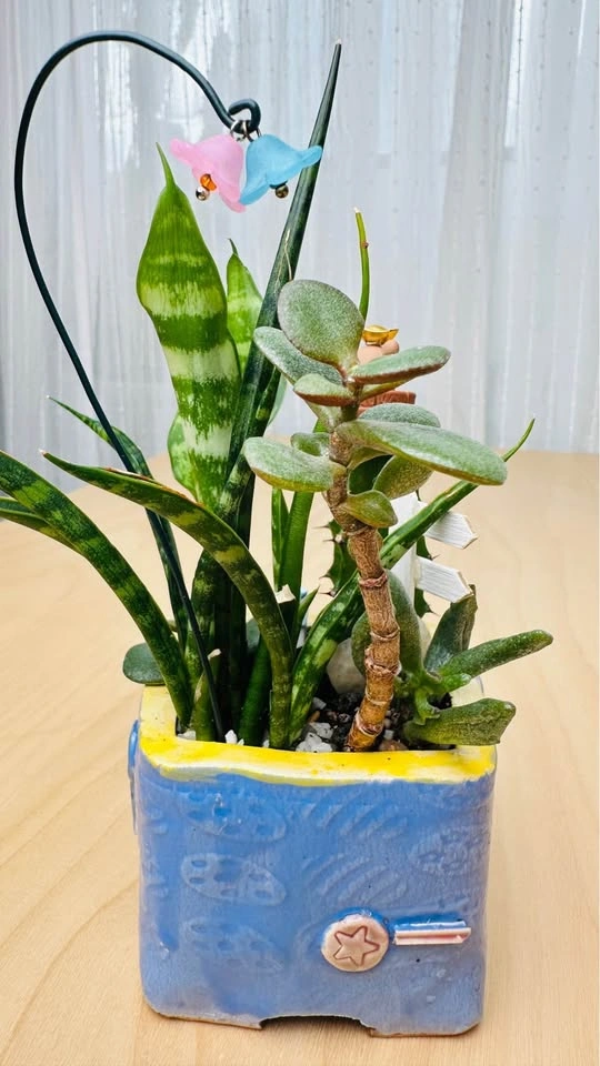 Super cute low maintenance plant arrangement - photo 5