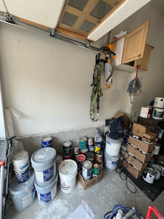 FREE Assorted Paint