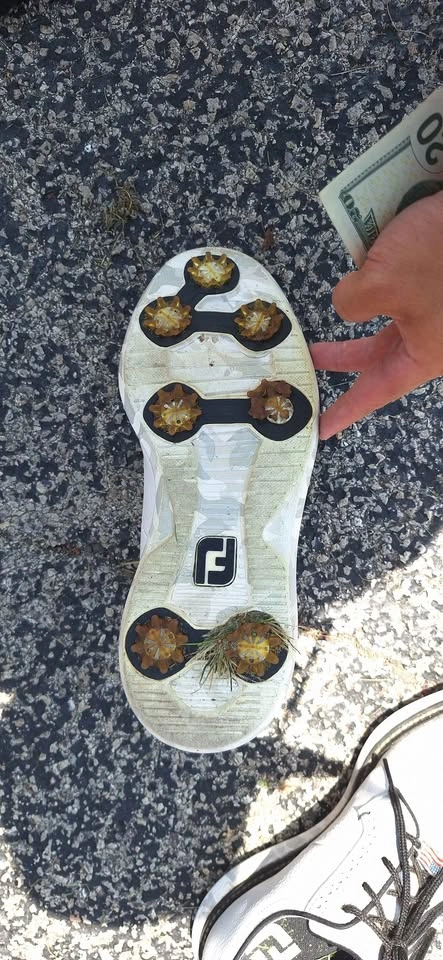 FootJoy Golf Shoes Size 9 1/2 - photo 3