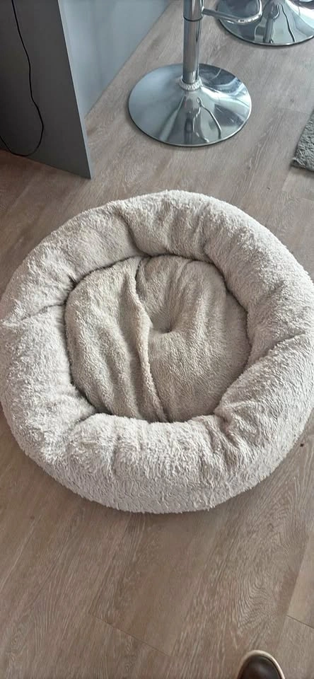 Dog bed and dog stairs