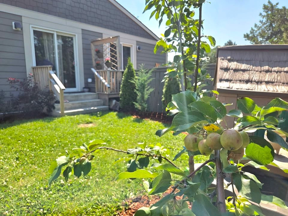 3 Beds 2 Baths - Townhouse - photo 5
