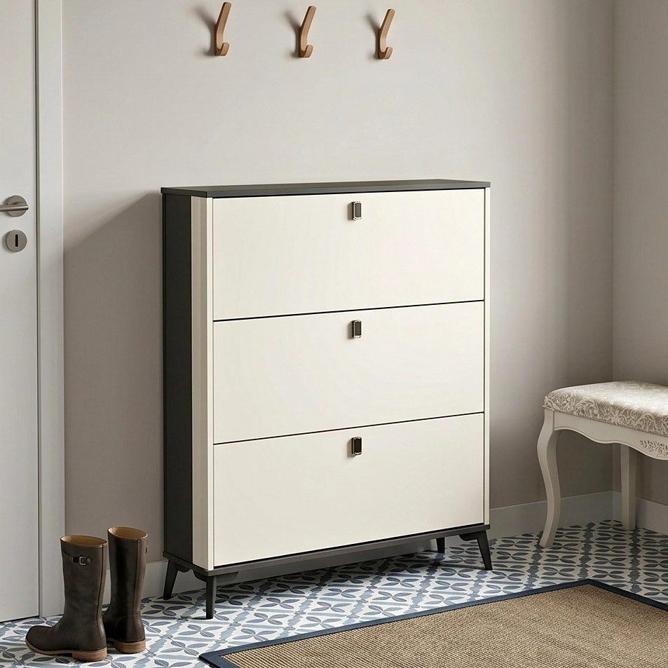 Zhtao Contemporary Nordic Shoe Cabinet