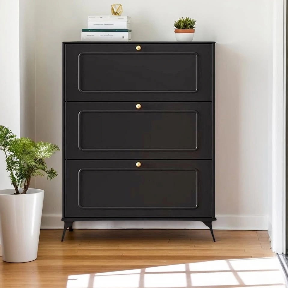 SOCE053 A2152 Minimalist Black Shoe Cabinet