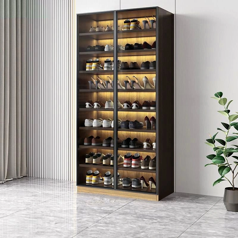 SOCE055 A1819 Modern Minimalist Glass Shoe Cabinet