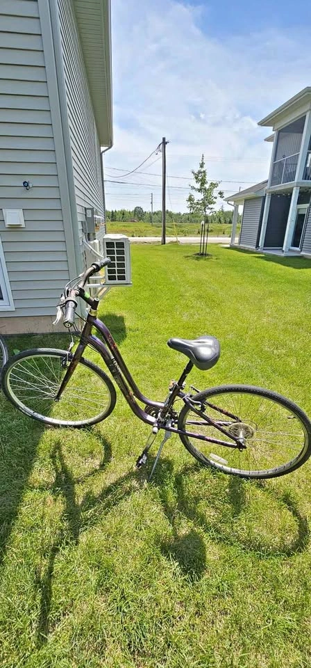 Trek Verve Low-Step Women's Hybrid Bike - Great Condition
