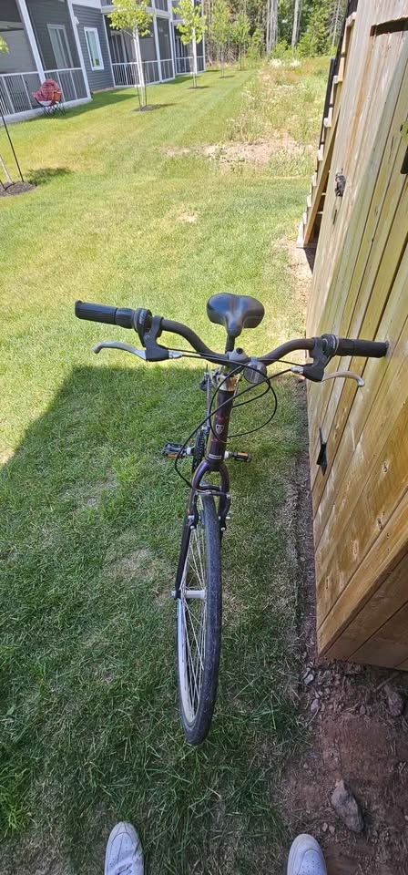 Trek Verve Low-Step Women's Hybrid Bike - Great Condition - photo 3