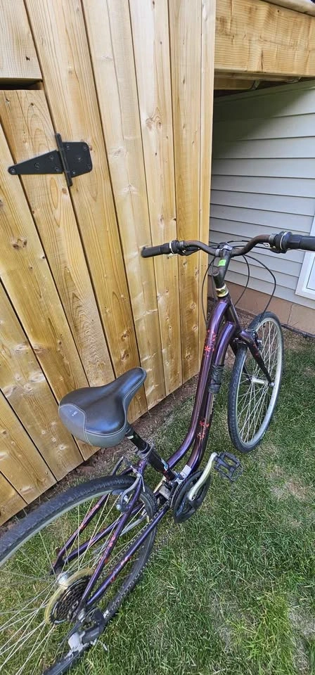 Trek Verve Low-Step Women's Hybrid Bike - Great Condition - photo 4