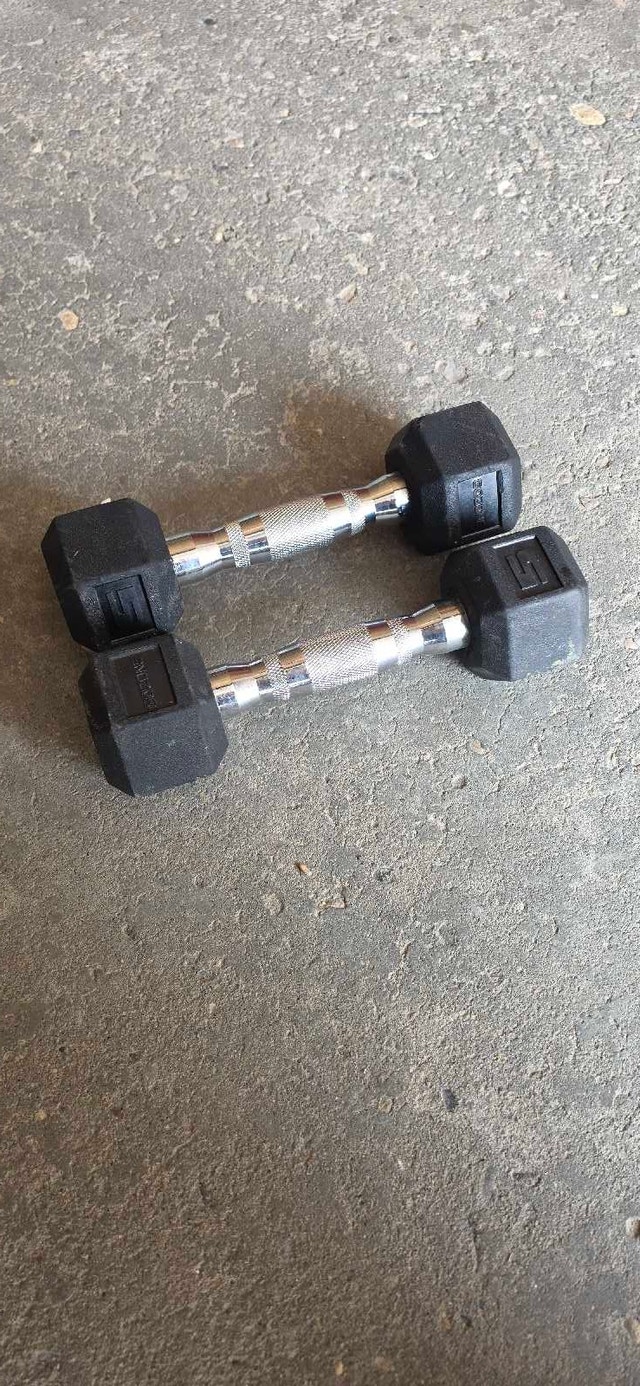 10lb Dumbells
