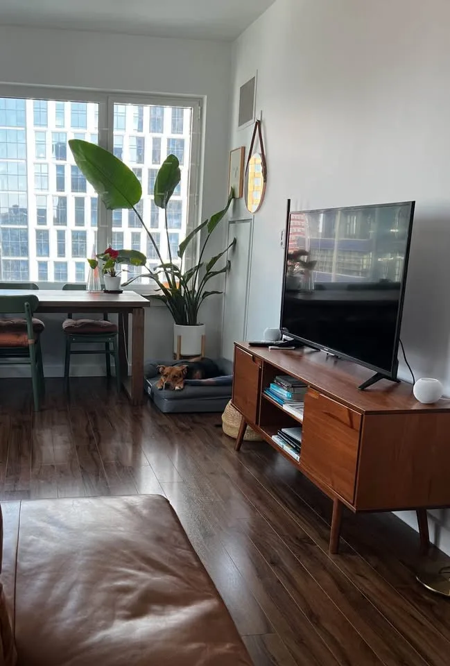 Sharp 50" 4K Ultra HD HDR Smart LED TV image indicator(4)