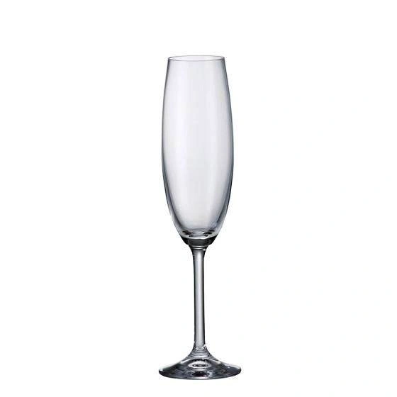 Bohemia Set of 2 Champagne Flutes