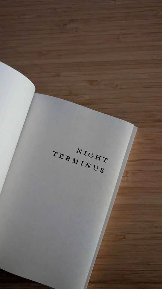 Night Terminus by Ellis Scott - photo 4