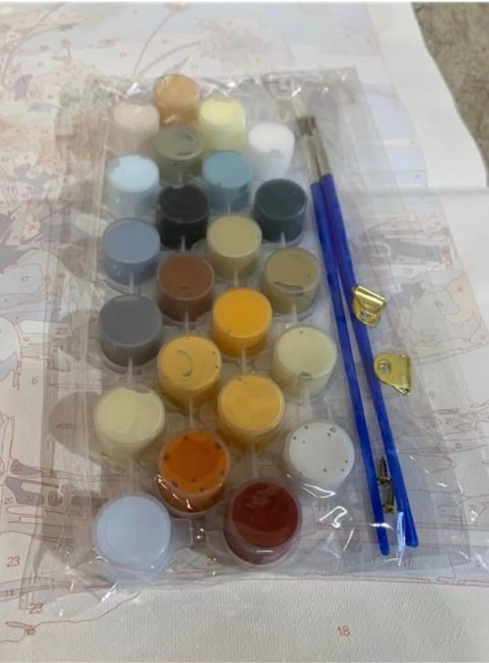 DIY Paint by Number Kit - photo 5