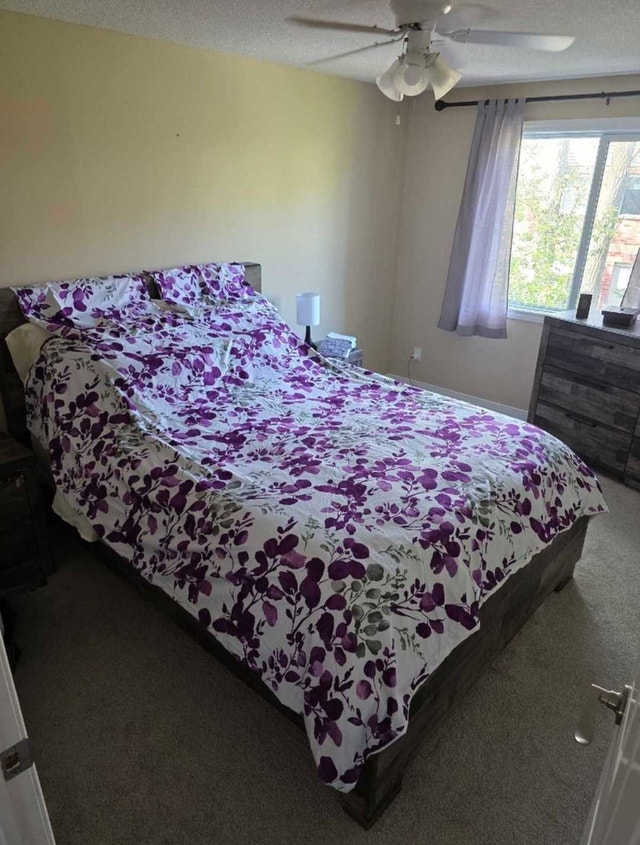Queen Duvet Cover and Pillow Cases