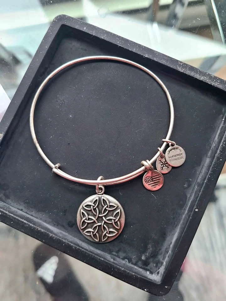 Alex and Ani Endless Knot Bangle Bracelet