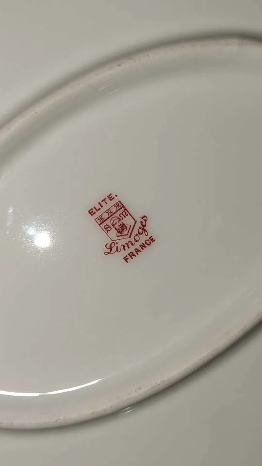 Antique Limoges France Porcelain Serving Platter – Elite Mark image indicator(4)