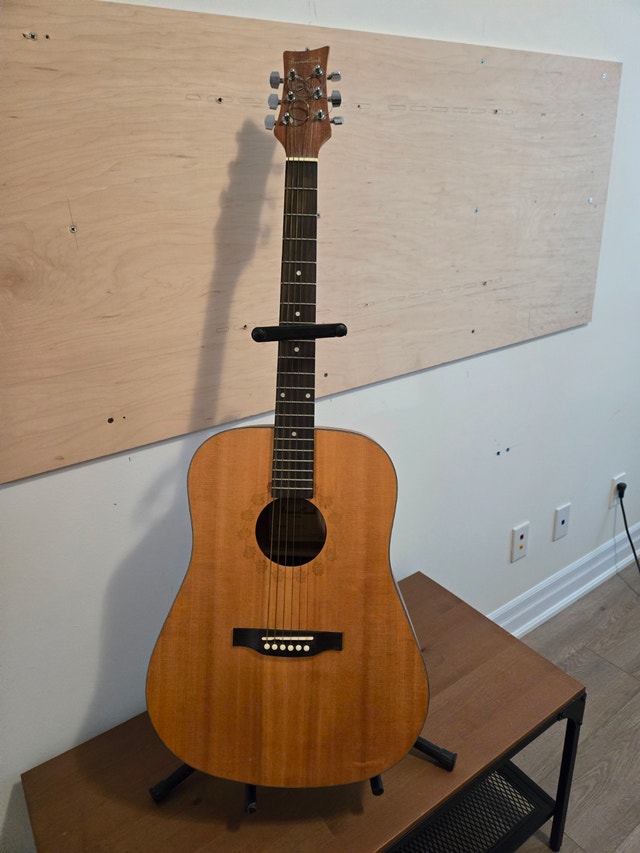 Acoustic Guitar (Beaver Creek) & Guitar Stands