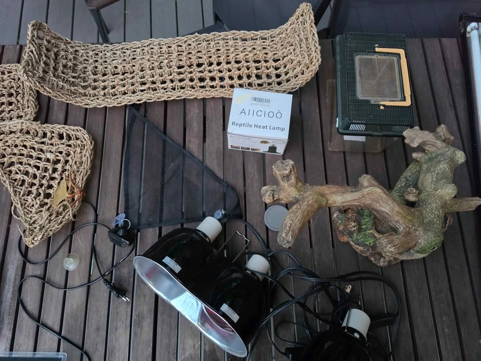 Reptile Habitat Accessories - photo 3