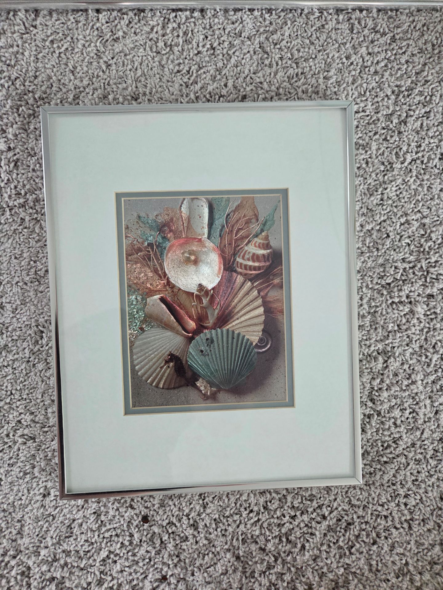 Framed Seashell Art