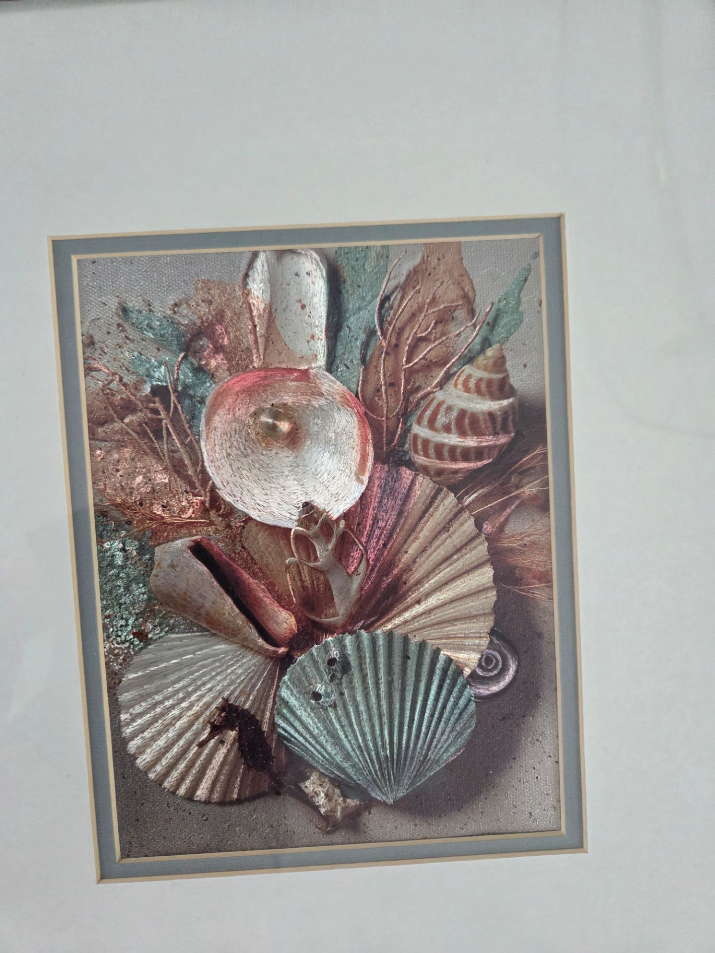 Framed Seashell Art - photo 2