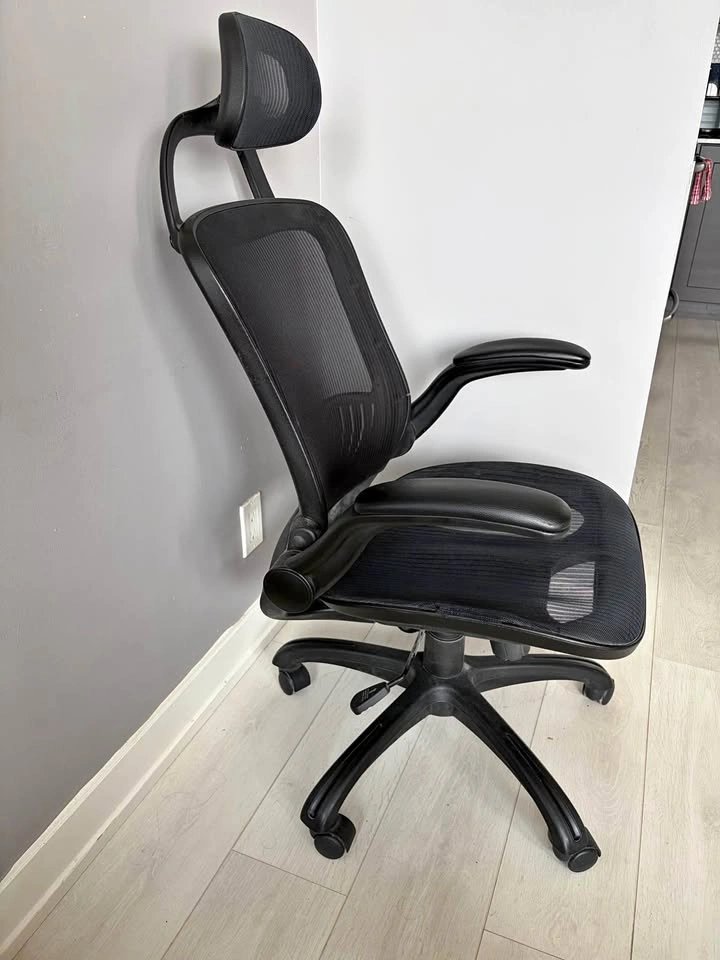 Ergonomic Mesh Office Chair with Headrest