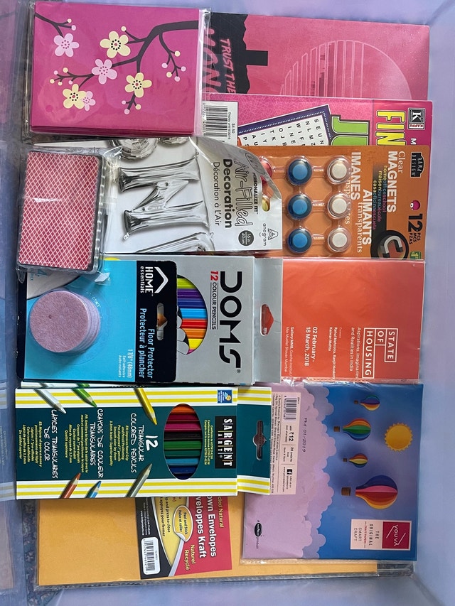 Stationery and Craft Organizer Bin