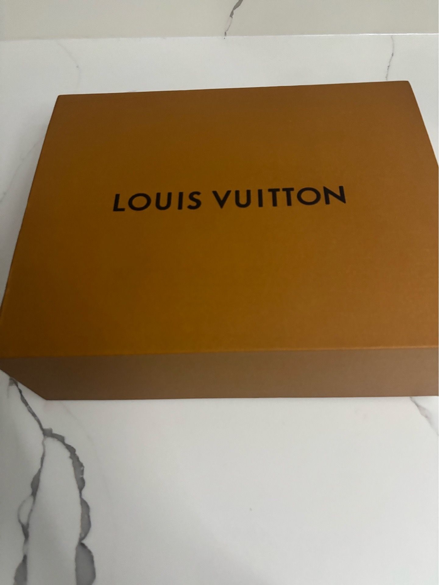 Louis vuitton speedy 20 - photo 2