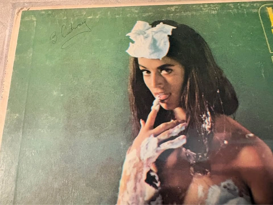 Vintage Vinyl LP – Herb Alpert’s Whipped Cream & Other Delights - photo 2