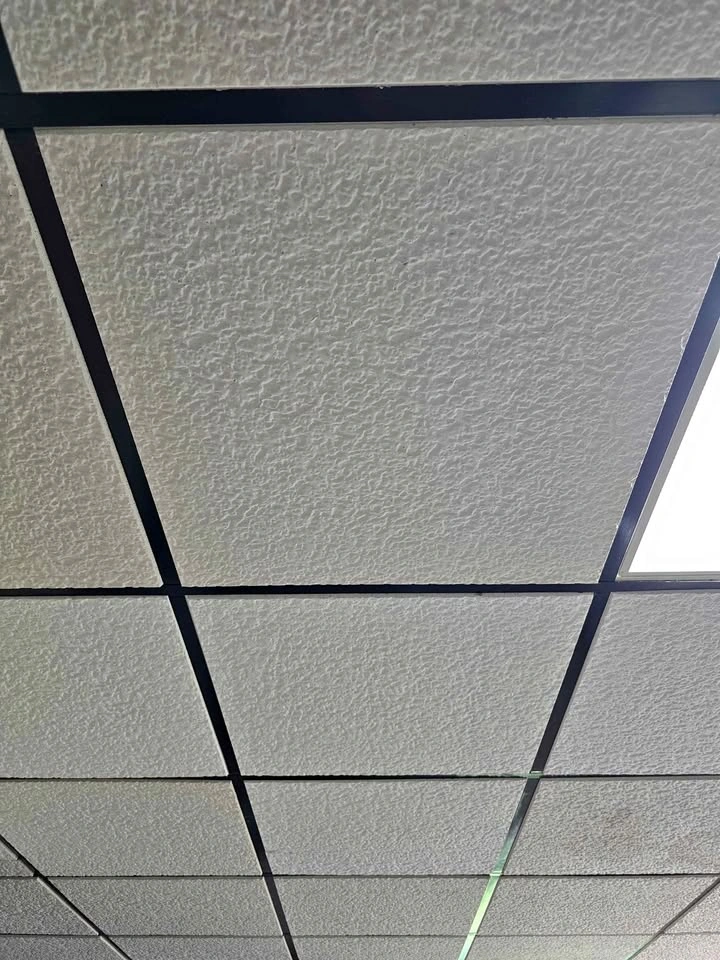2 x 2 Drop-down Ceiling Tiles