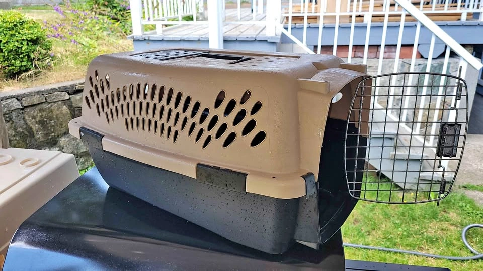 2 Cat carriers