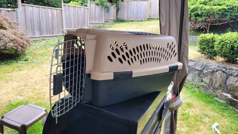 2 Cat carriers - photo 2