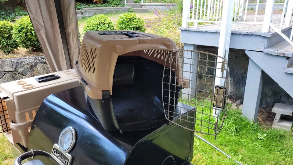 2 Cat carriers - photo 3