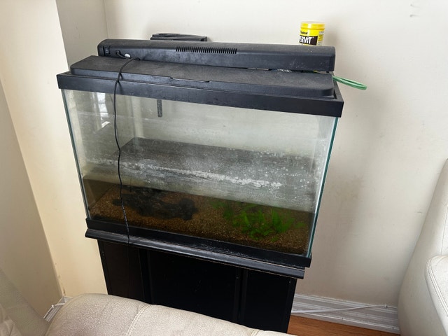 Fish Tank with Stand and Accessories - photo 2