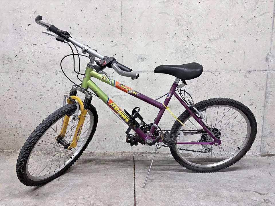 Murray S-Type Mountain Bike