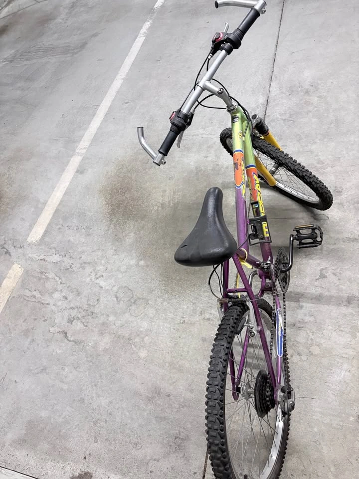 Murray S-Type Mountain Bike - photo 4