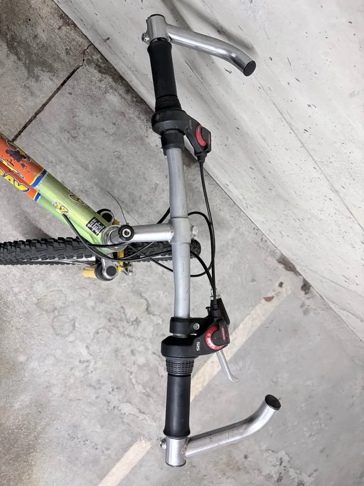 Murray S-Type Mountain Bike - photo 5