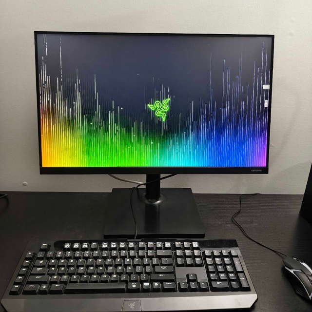 Samsung 24" FT45 IPS Business Grade Monitor – Mint
