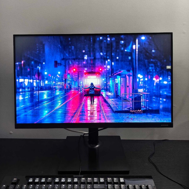 Samsung 24" FT45 IPS Business Grade Monitor – Mint - photo 3