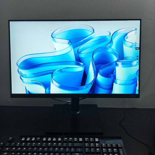 Samsung 24" FT45 IPS Business Grade Monitor – Mint - photo 5