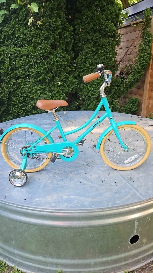 GUC Linus Lil' Dutchi 16" Toddler Bike - photo 2