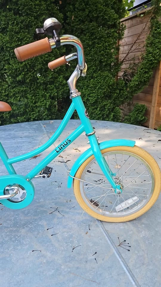 GUC Linus Lil' Dutchi 16" Toddler Bike - photo 4