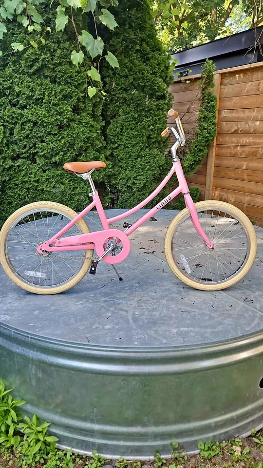 EUC 20" Linus Lil' Dutchi Kids Bike