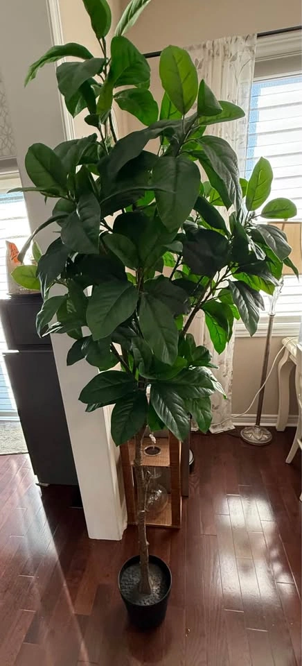 [USED] IKEA FEJKA Artificial Potted Eucalyptus Tree (6 ft+) - photo 3